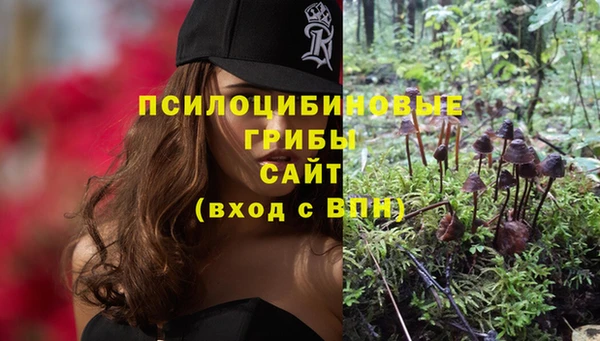 соль курить ск Алексеевка