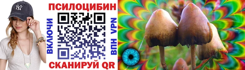 Галлюциногенные грибы Psilocybine cubensis  MEGA маркетплейс  Нарьян-Мар 